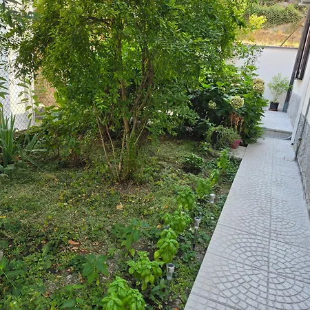 Lily Loggiadeifiori With Private Patio Near Station, Bus And Swiss Boarder
